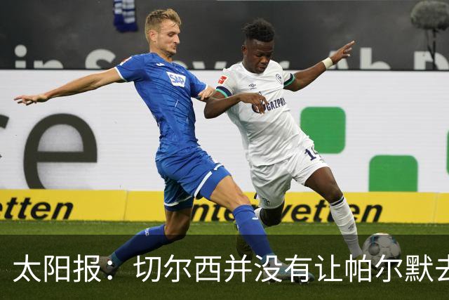 太阳报：切尔西并没有让帕尔默去游说罗杰斯，但两人感情很好